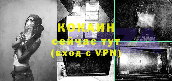 стафф Карпинск