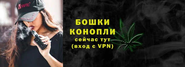 стафф Карпинск