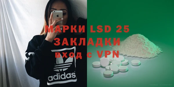 прущие грибы Касимов