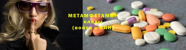 прущие грибы Касимов