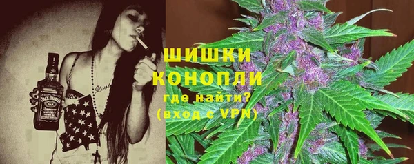 прущие грибы Касимов