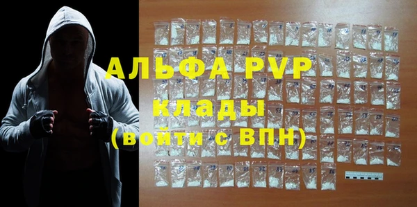 прущие грибы Касимов