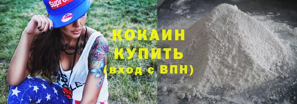 прущие грибы Касимов