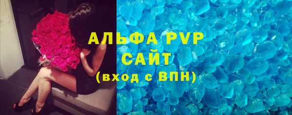 прущие грибы Касимов