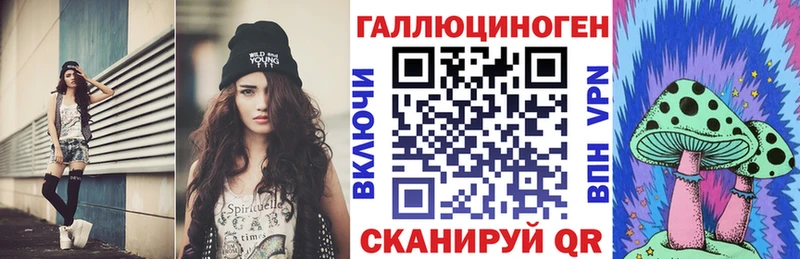 Купить  Шумерля  Галлюциногенные грибы Psilocybe 
